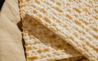 I Survived Pesach!